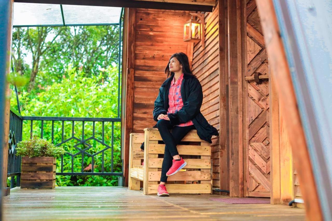 Hunters Wood Cabins Nuwara Eliya Exteriér fotografie